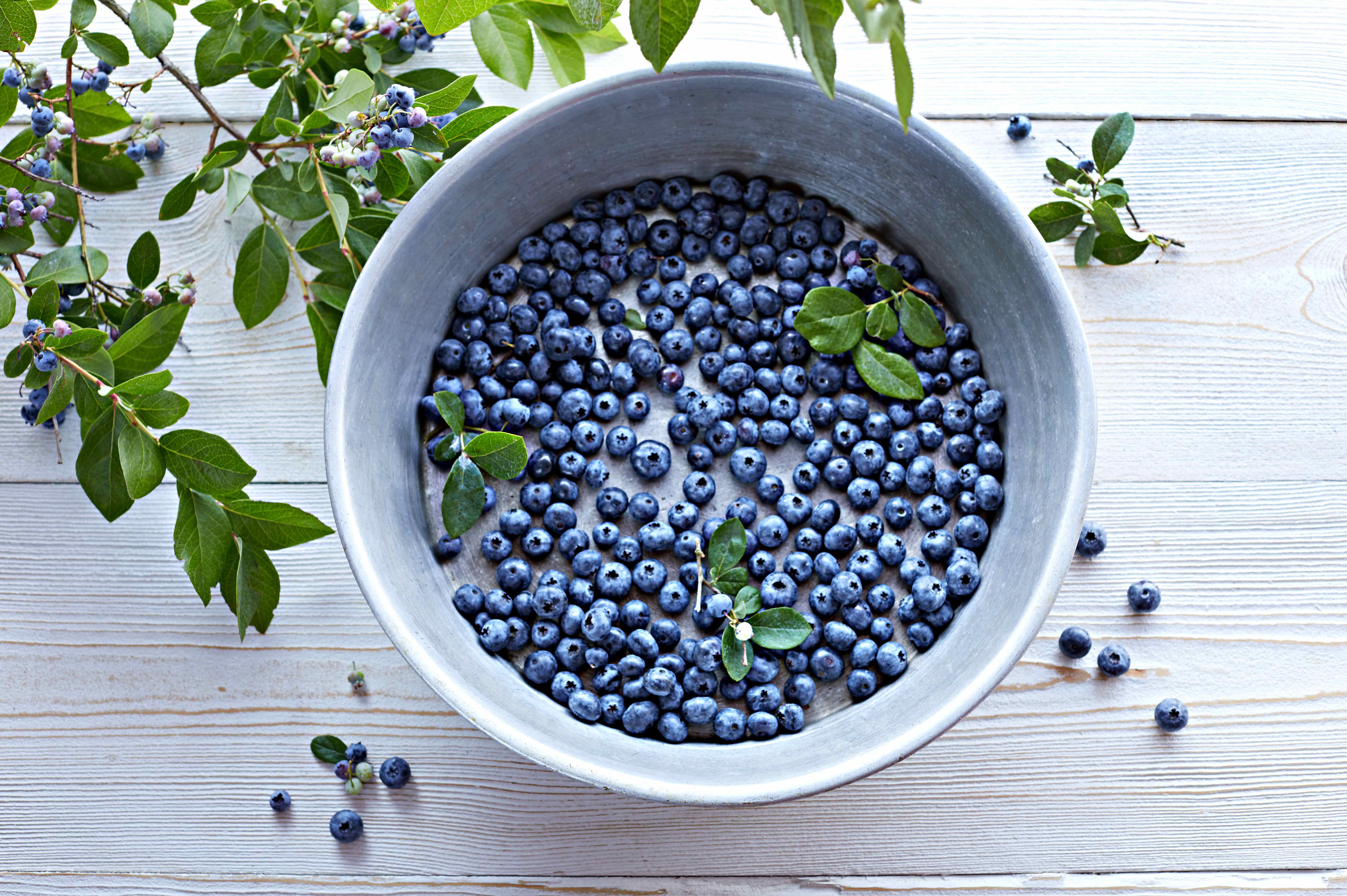 blueberries1