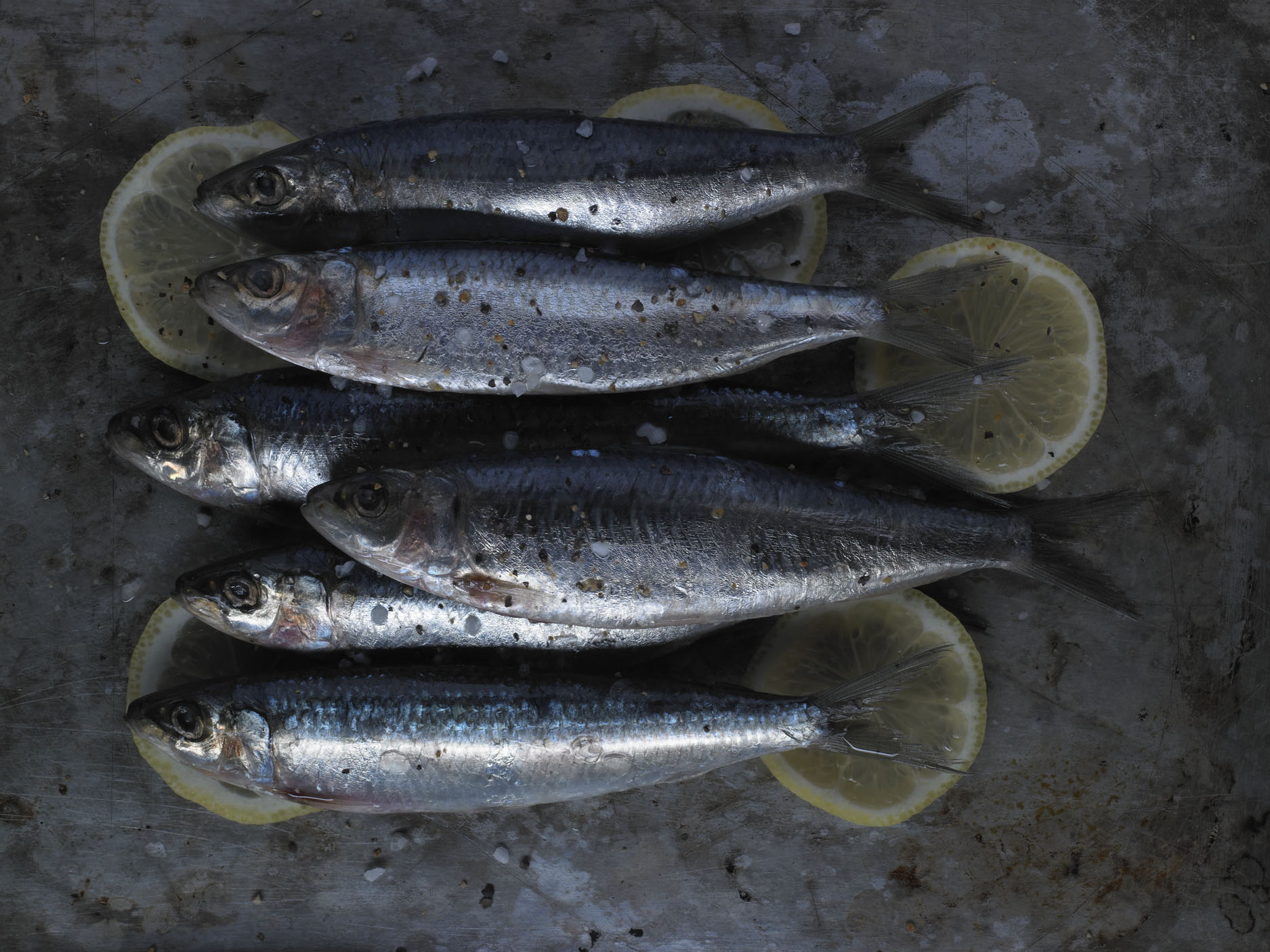 sardines